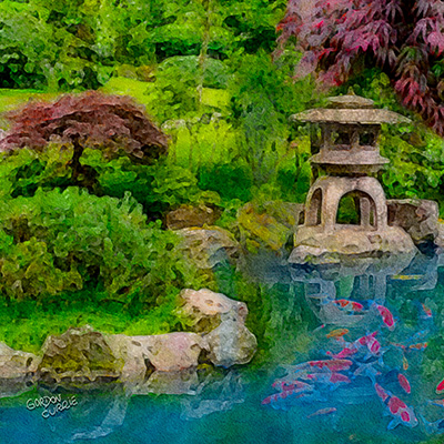 Japanese Koi Pond